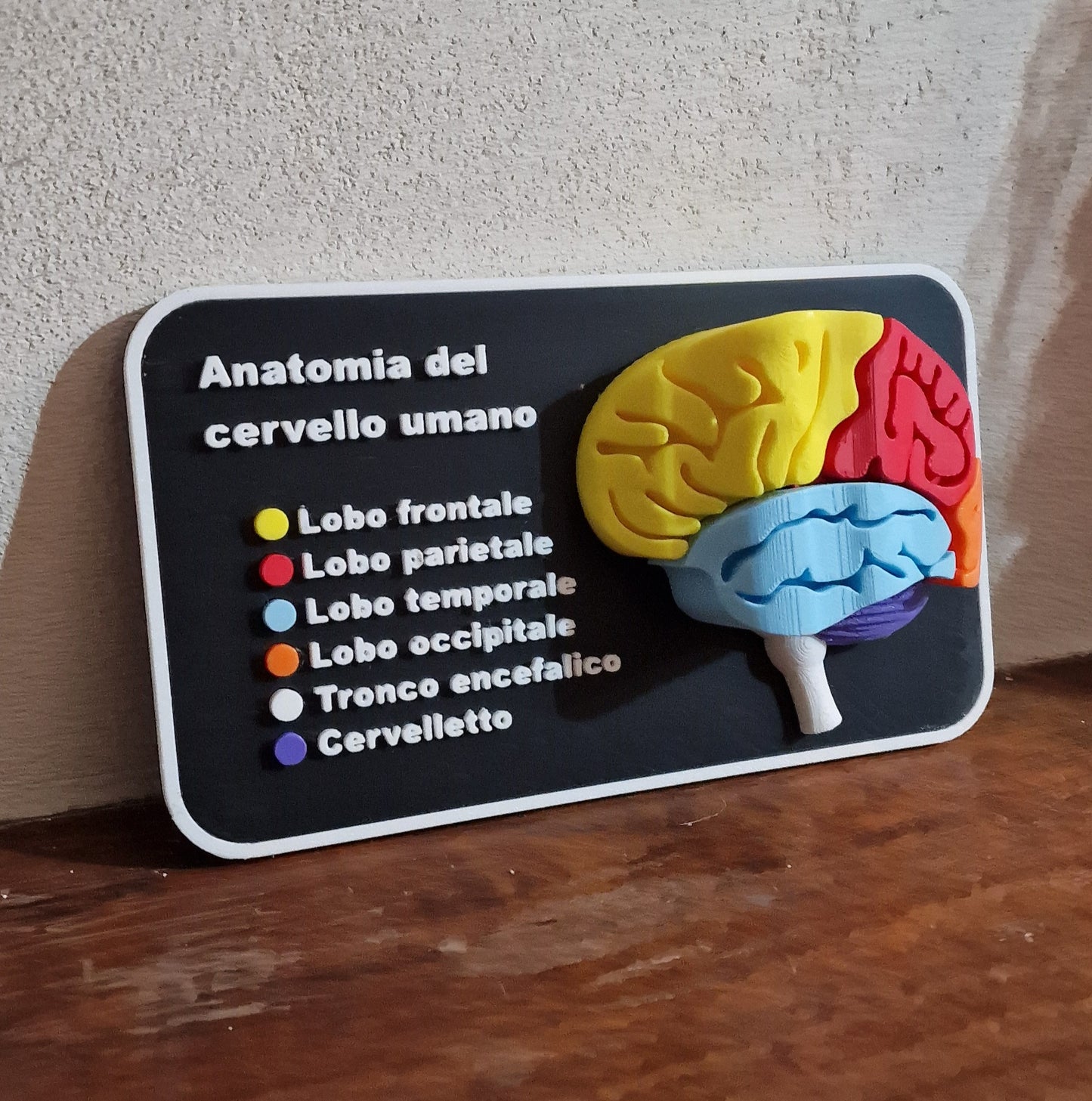 Quadretto anatomico 3D