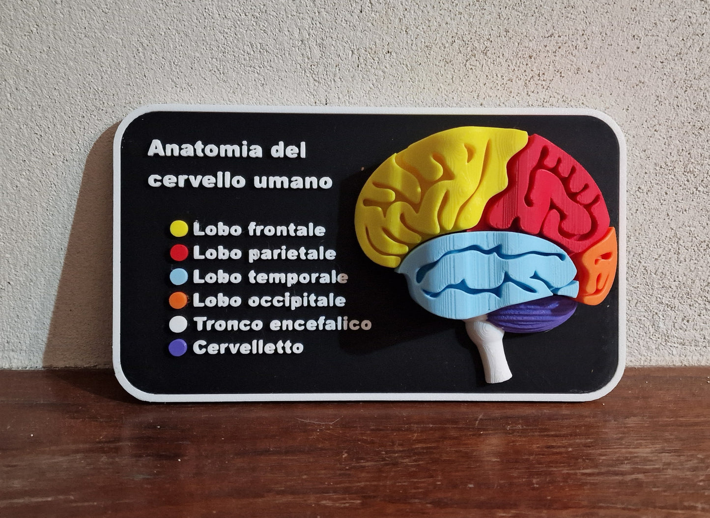 Quadretto anatomico 3D